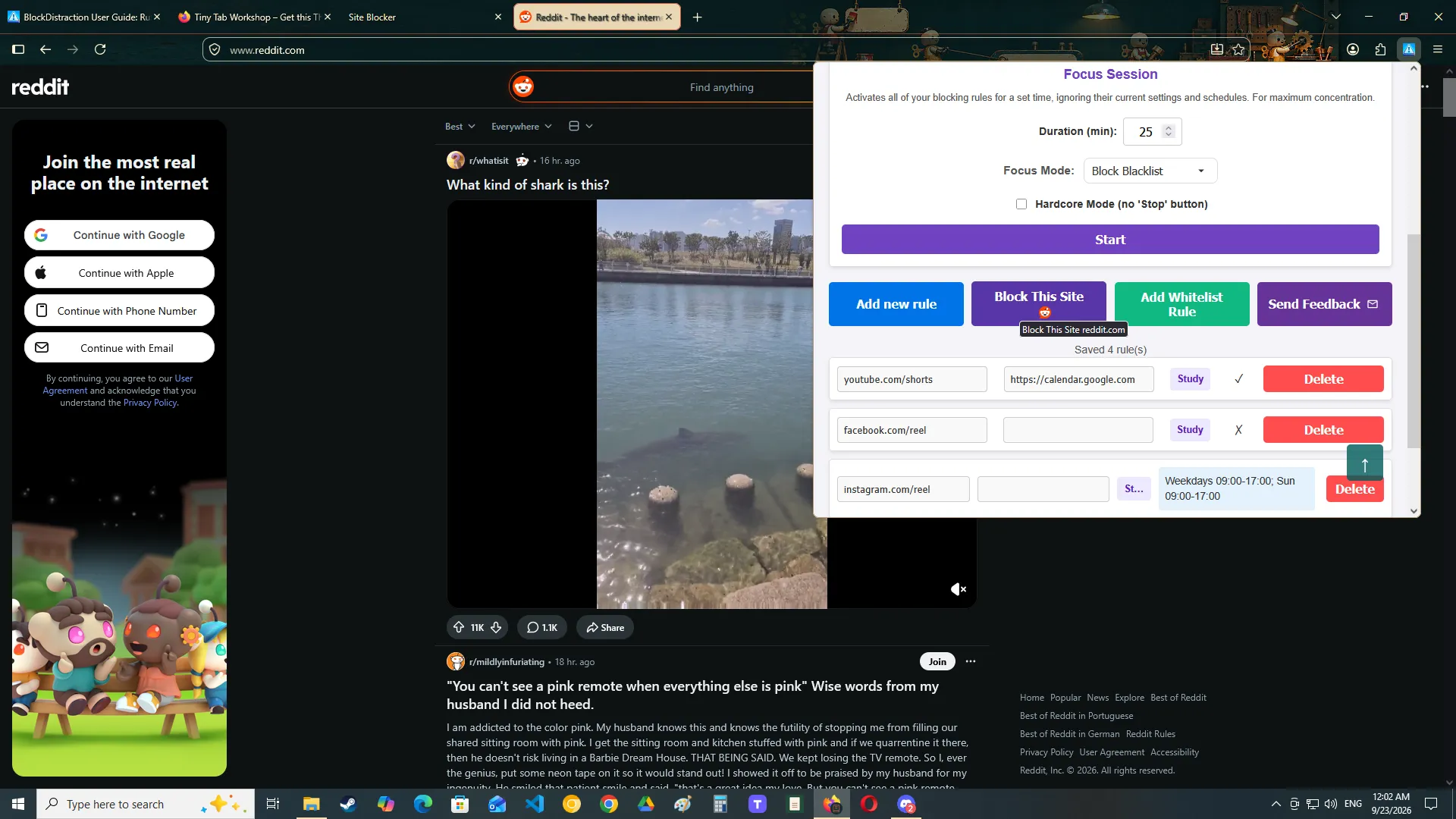 The Instant Blocking control in the BlockDistraction extension popup