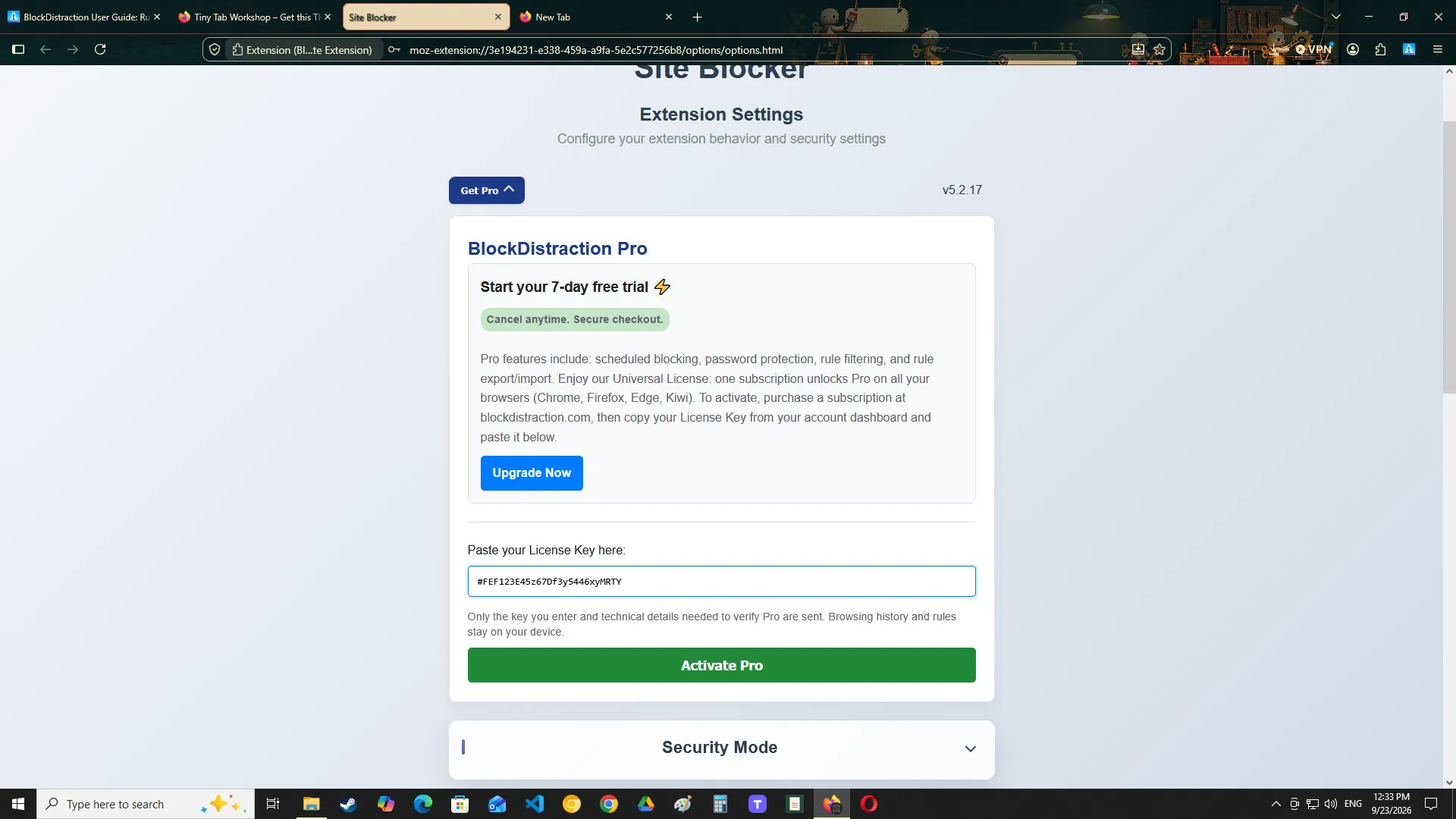 The license key activation field in BlockDistraction settings